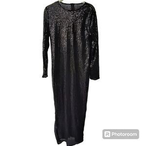 Women's Floor Length, Long Sleeve, Sheer, Goth Whimsigoth Sequin Evening Gown, L